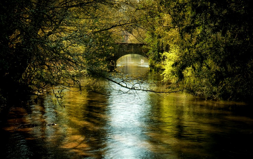River Itchen Winchester