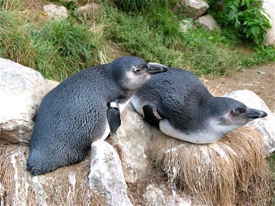 Burgers' Zoo