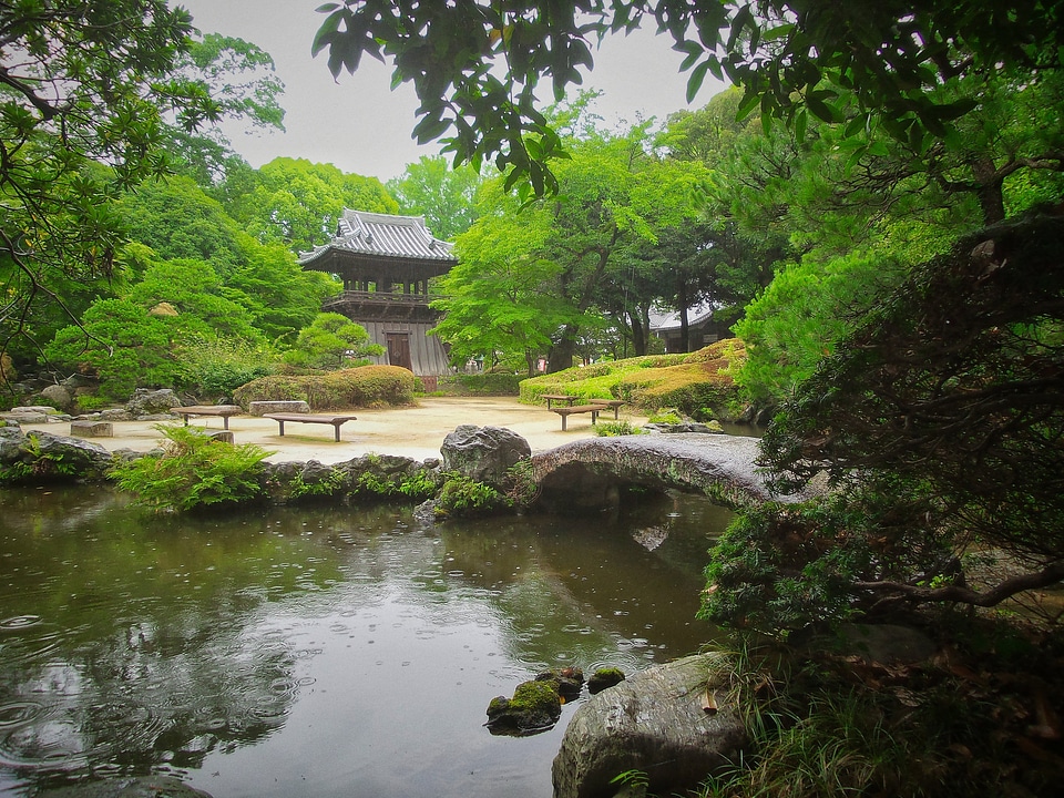 Japanese garden photo