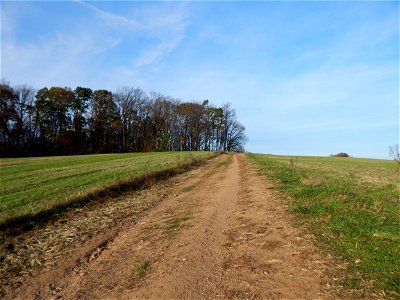 trail