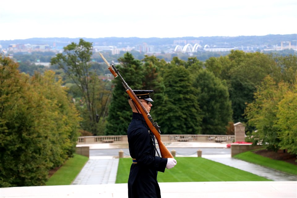 Sentinel Guarding Tomb of the Unknown Soldier