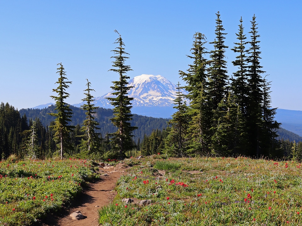 Goat Rocks Wilderness