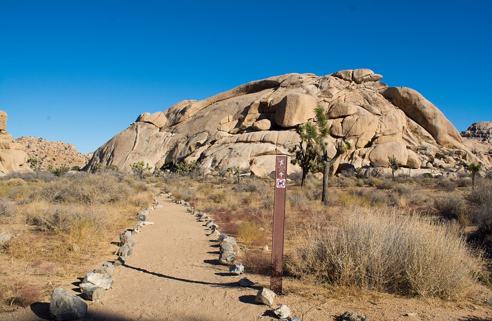 Climber Trail in Joshua Tree National Park