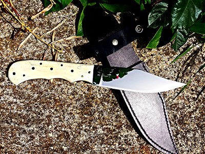 bowie DZF