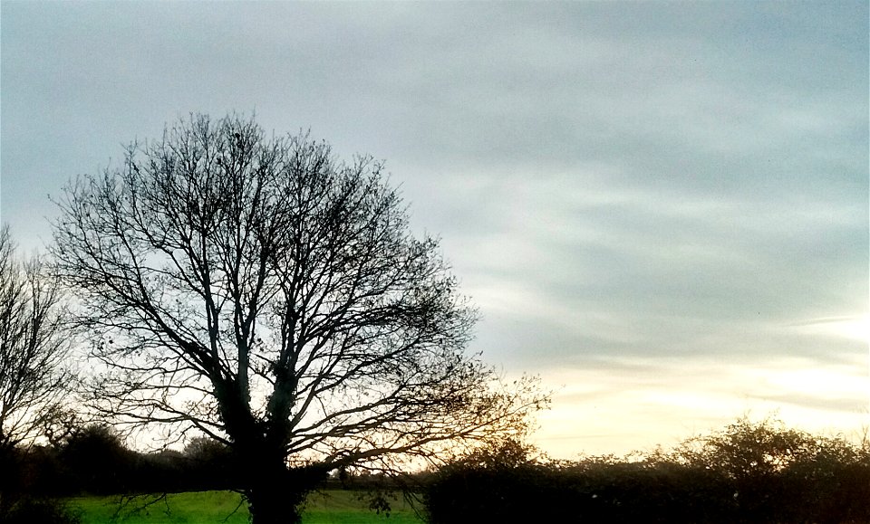Lincolnshire sky