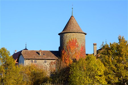 The Castle photo