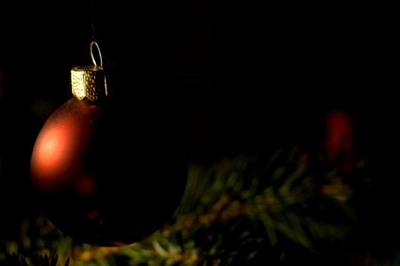 20121229-Tuebingen-_AMO8696