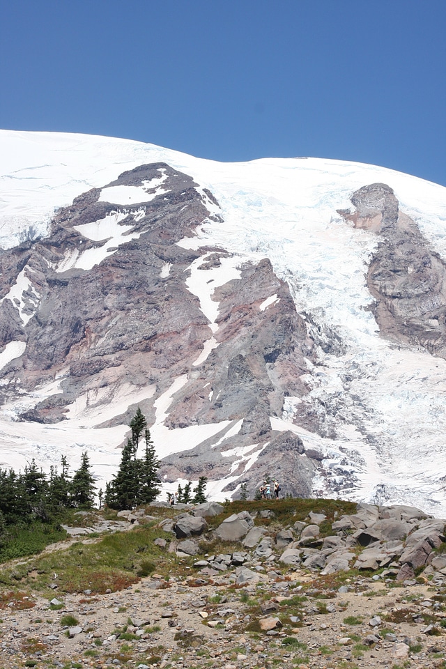 Paradise trail in Mount Rainier National Park, Washington photo