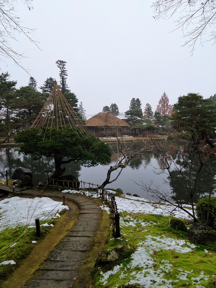 Japan garden with a pond