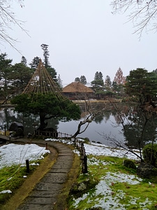 Japan garden with a pond