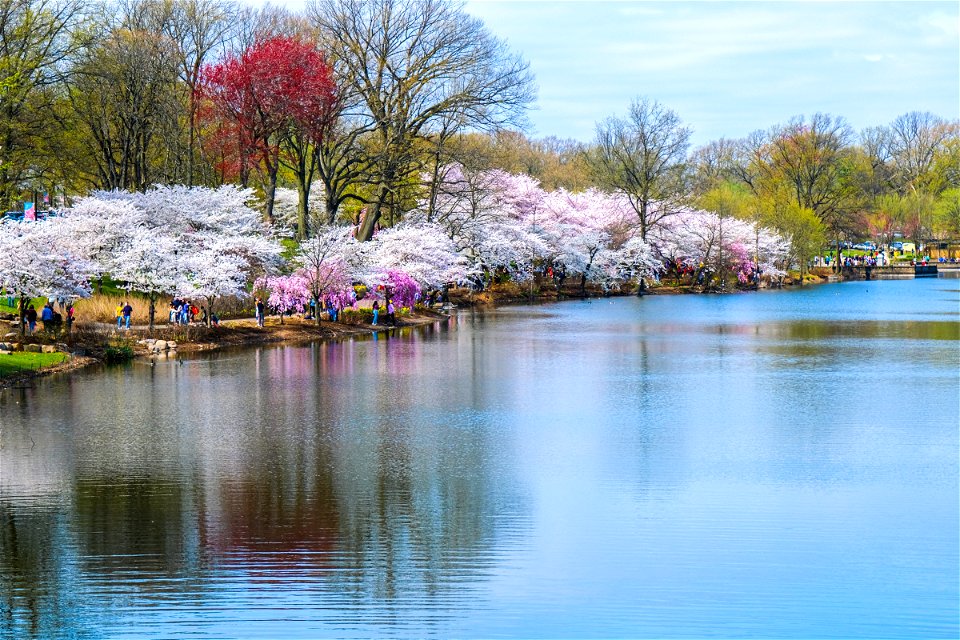 Branch brook park