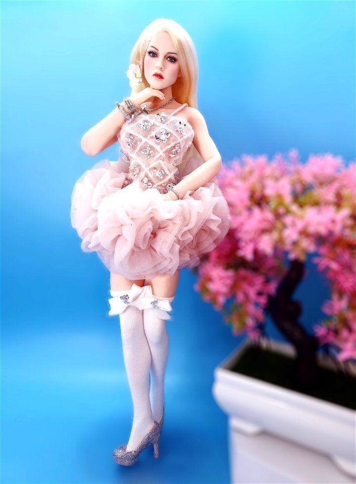 I Love Ballerinas!