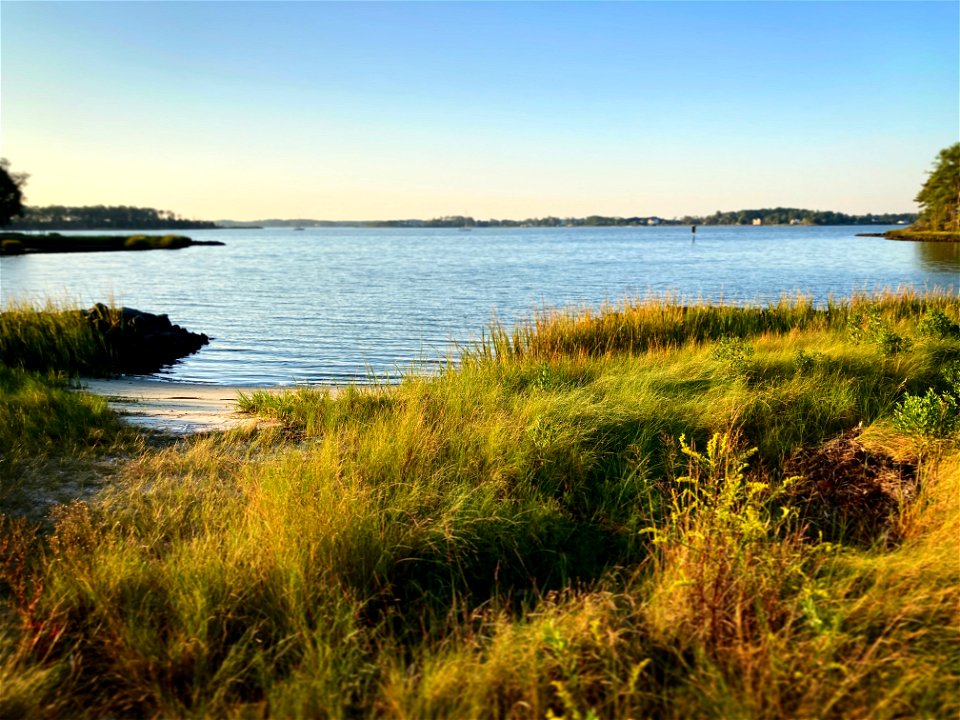 John's Point Living Shoreline