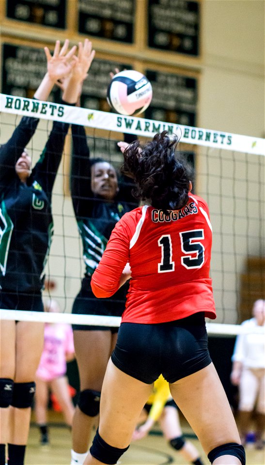 QO@Damascus-4