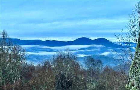 Smokies