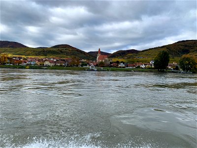 IMG_3726