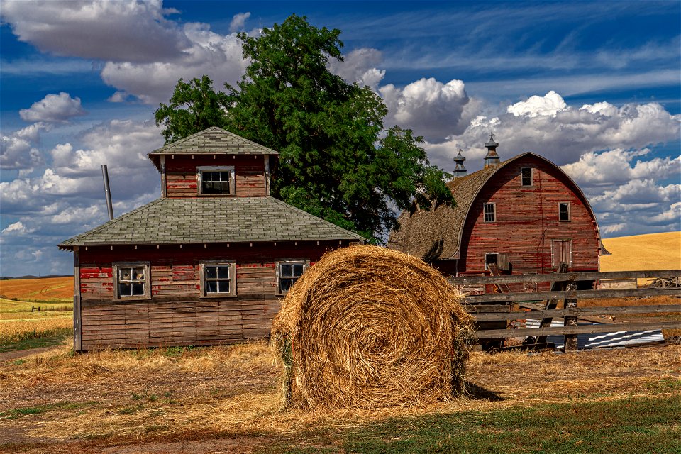 Old Barn In Palouse