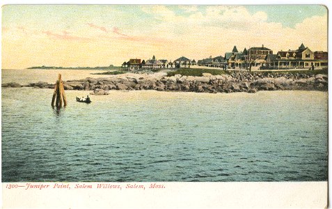 Salem Willows 1906 (?)