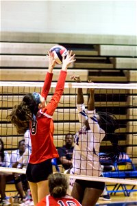 QO@Watkins_Mill_-5