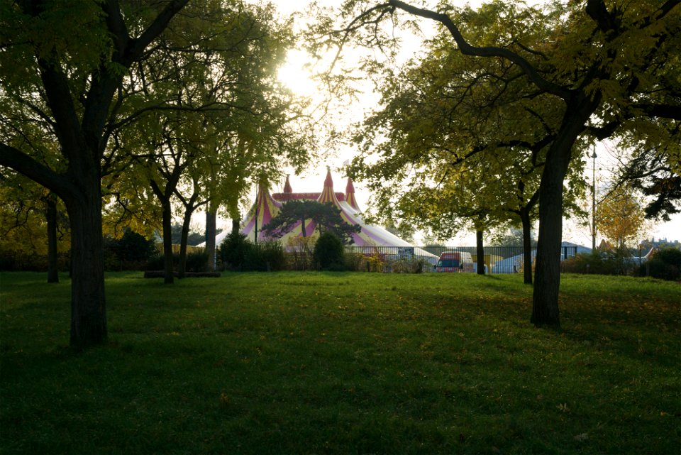 The Enchanted World