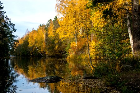 Uppland, Sweden (13-10-2018) photo