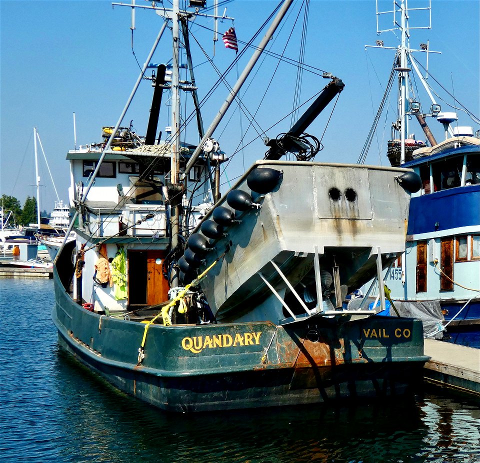F/v Quandary