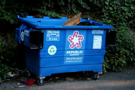 Republic Plastic Recycling Dumpster