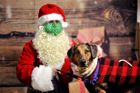 City of Elderly Love Claus for Paws Fundraiser