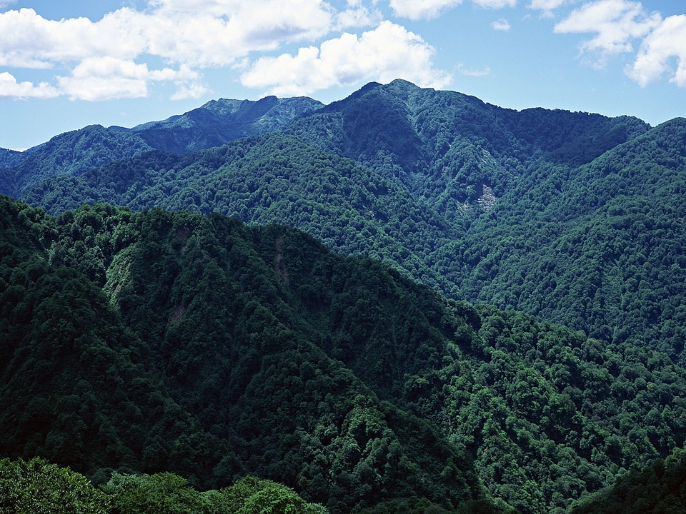 Beautiful summer landscape in the mountains. photo