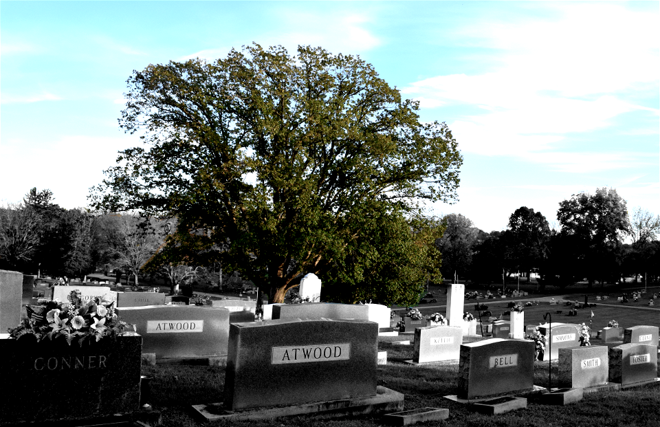 Graveyard (Selective Color)