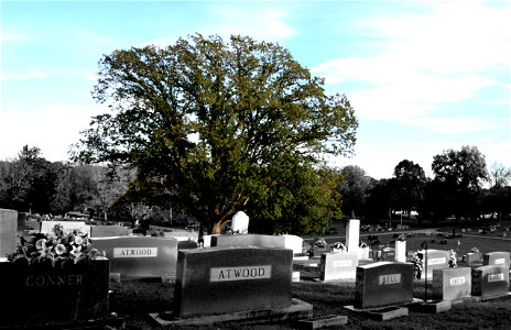 Graveyard (Selective Color) photo