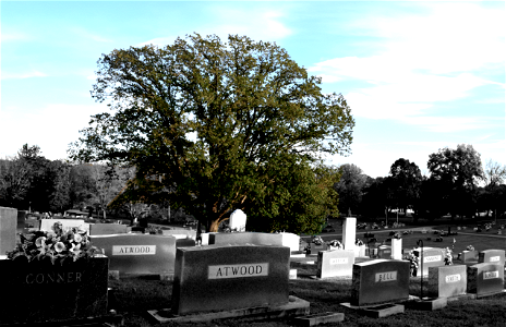 Graveyard (Selective Color)