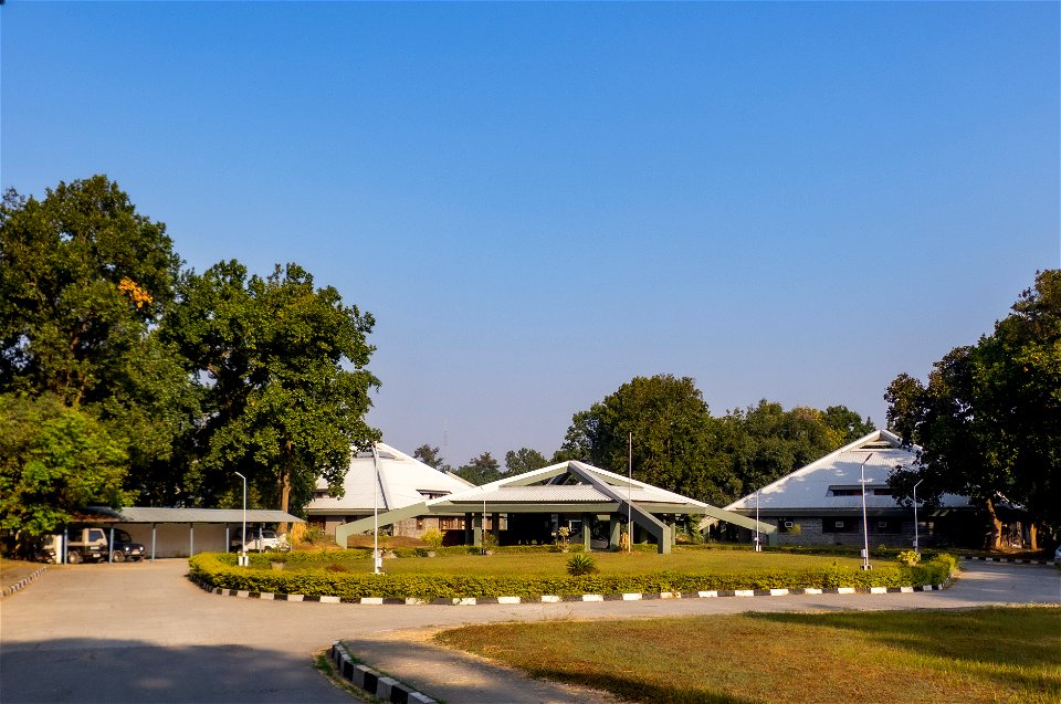 Wildlife Institute of India photo