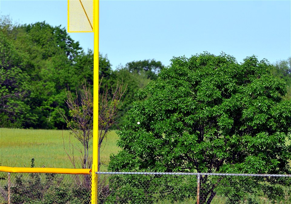 DSC_6939