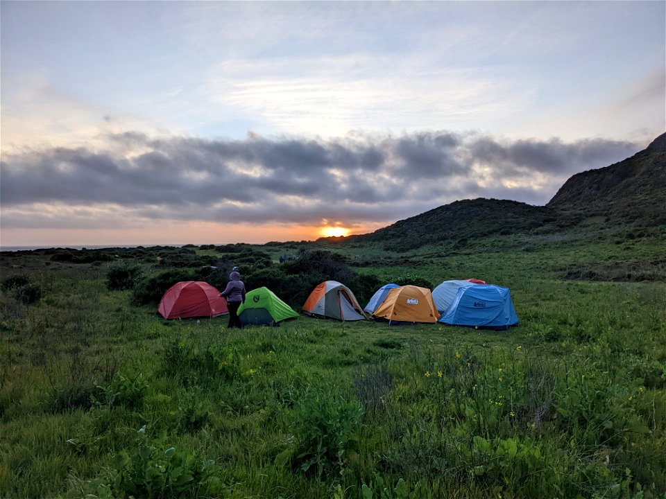 Wildcat Campground Point Reyes