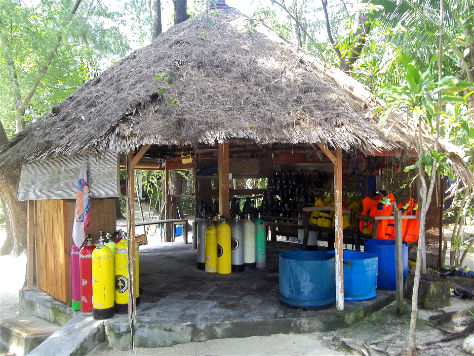 Divers-Snorkeling photo