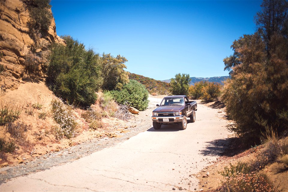 Yota
