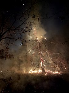 Kimble Complex Fire photo