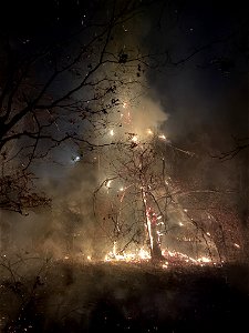 Kimble Complex Fire