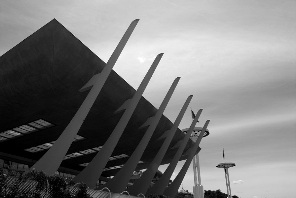 Piscine du Rhone Monster