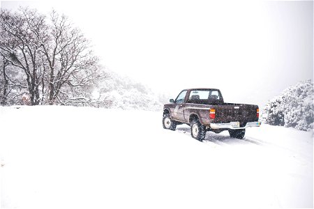 Snow Day