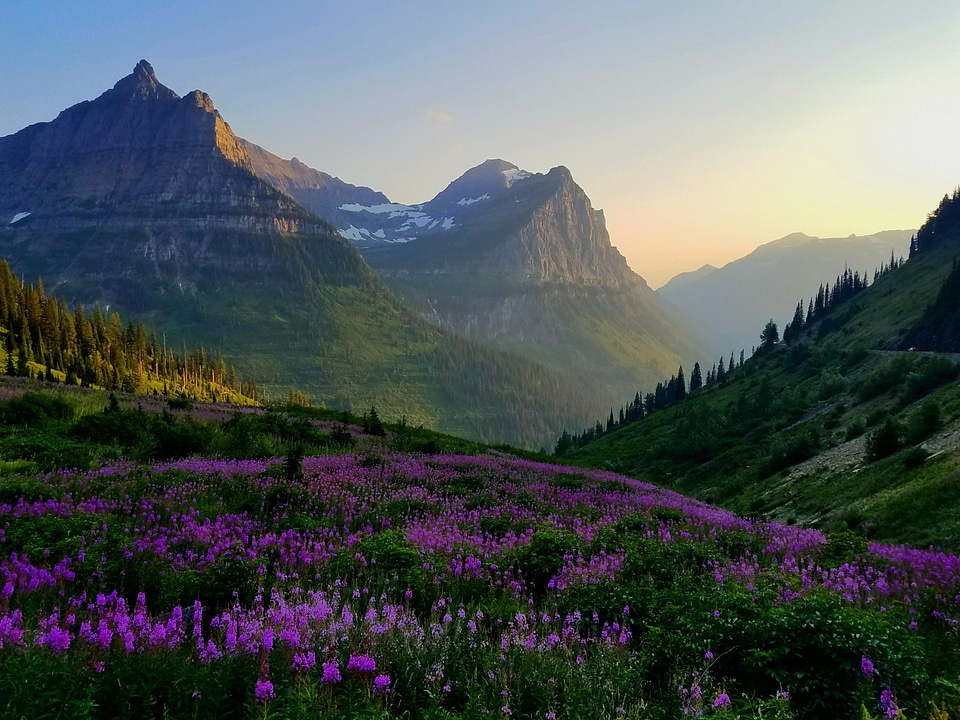 glacier national park