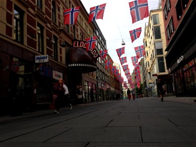 utforsking av Norges flagg photo