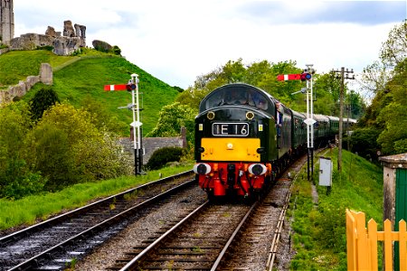 40145 Seen here approaching  Corfe Castle during the  Swanage Diesel Gala 2023.