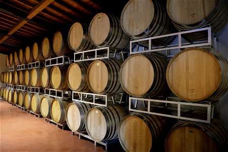 La bottaia | Lorenzo Fidora vino biologico