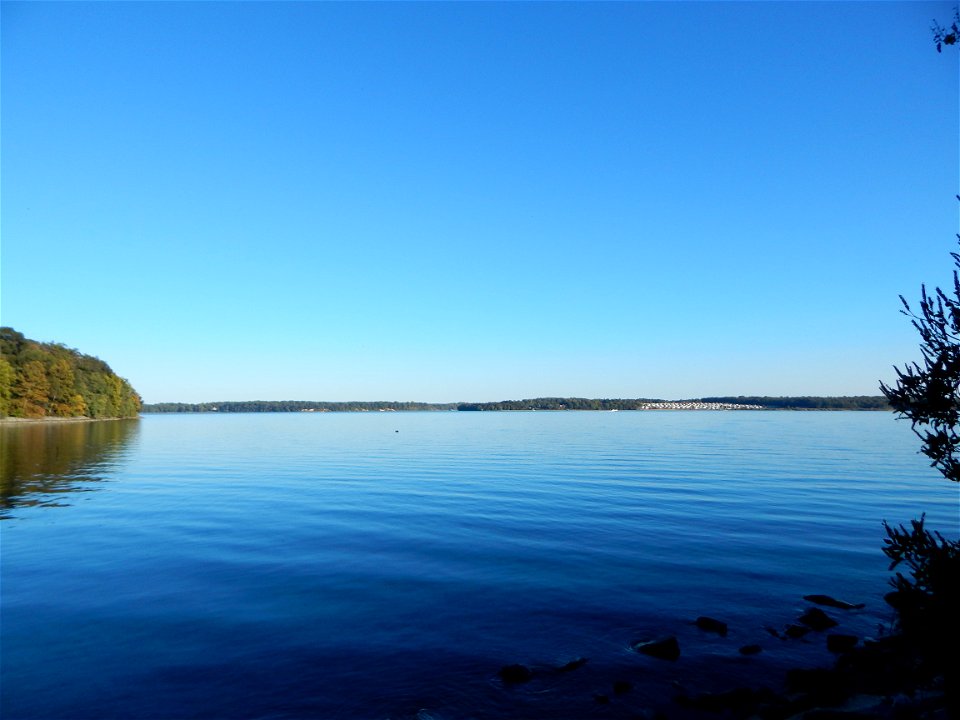 Rogues Harbor