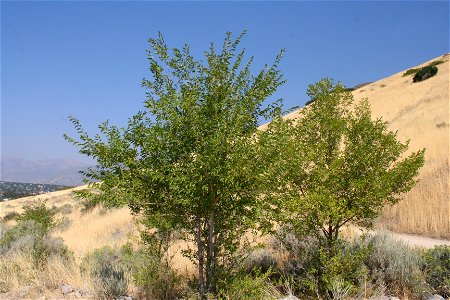 IMG_9611