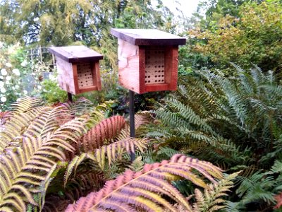 Mason Bee Houses Sep/16 photo