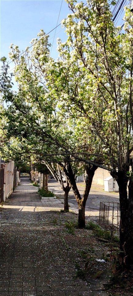 Paisagem urbana no. 365