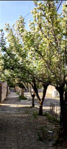Paisagem urbana no. 365